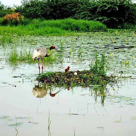 Ibishouse Farm Stay Bharatpur Zewnętrze zdjęcie