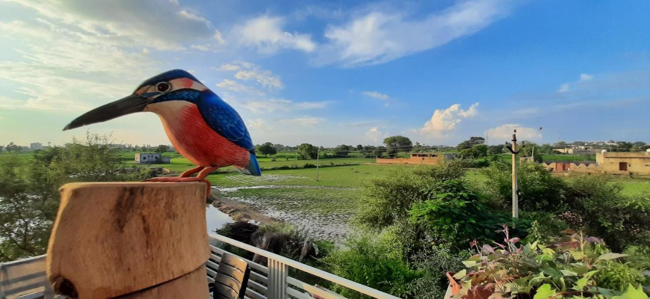 Ibishouse Farm Stay Bharatpur Zewnętrze zdjęcie