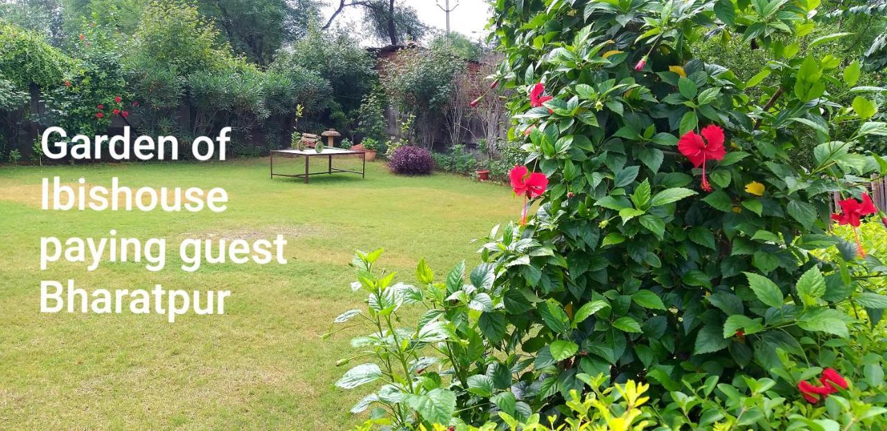 Ibishouse Farm Stay Bharatpur Zewnętrze zdjęcie