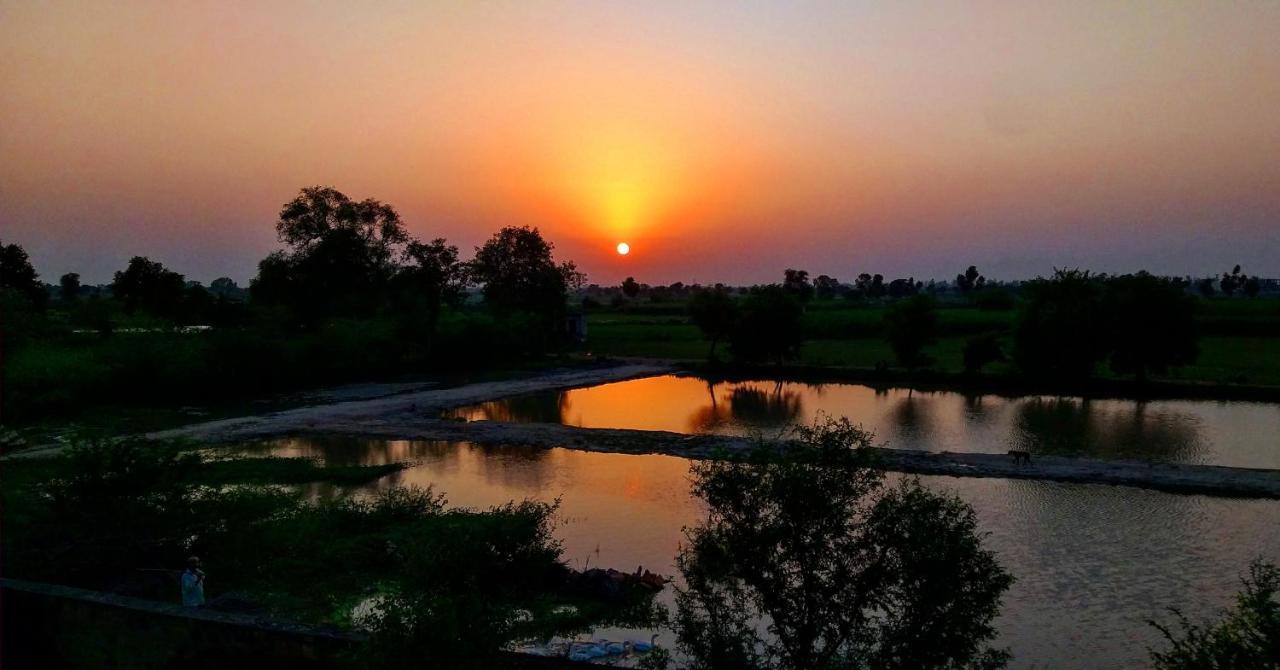 Ibishouse Farm Stay Bharatpur Zewnętrze zdjęcie