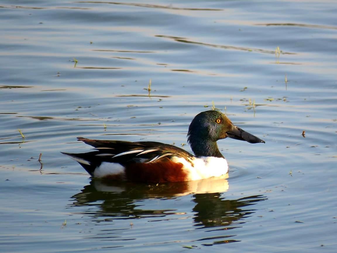 Ibishouse Farm Stay Bharatpur Zewnętrze zdjęcie