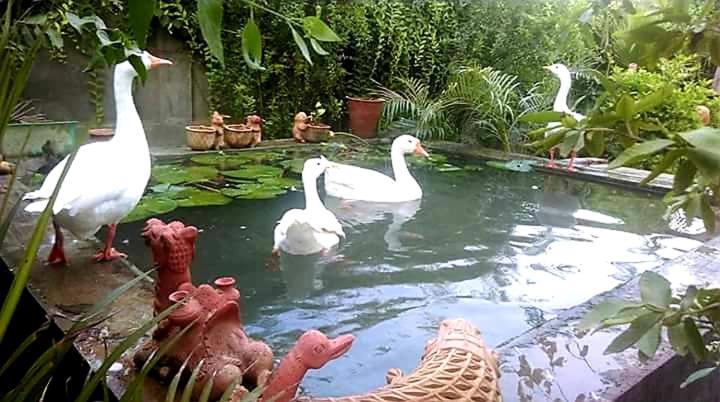 Ibishouse Farm Stay Bharatpur Zewnętrze zdjęcie
