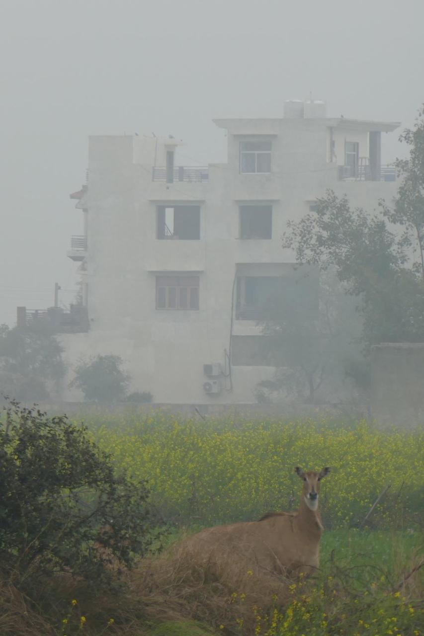 Ibishouse Farm Stay Bharatpur Zewnętrze zdjęcie